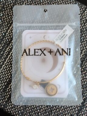 Alex and Ani Gold Celestial Star Charm Bangle
